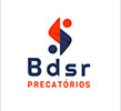 PARCEIRO_logo_bdsr